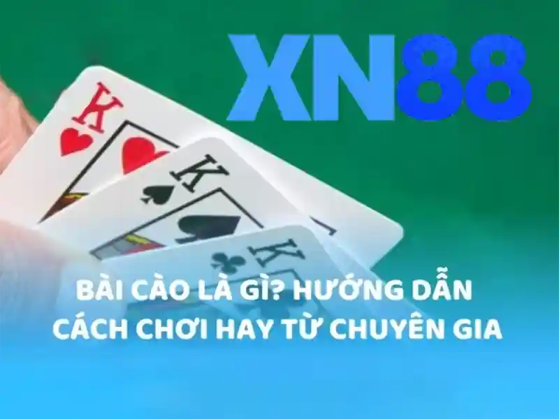💎tỷ lệ cá cược aff cúp💎
