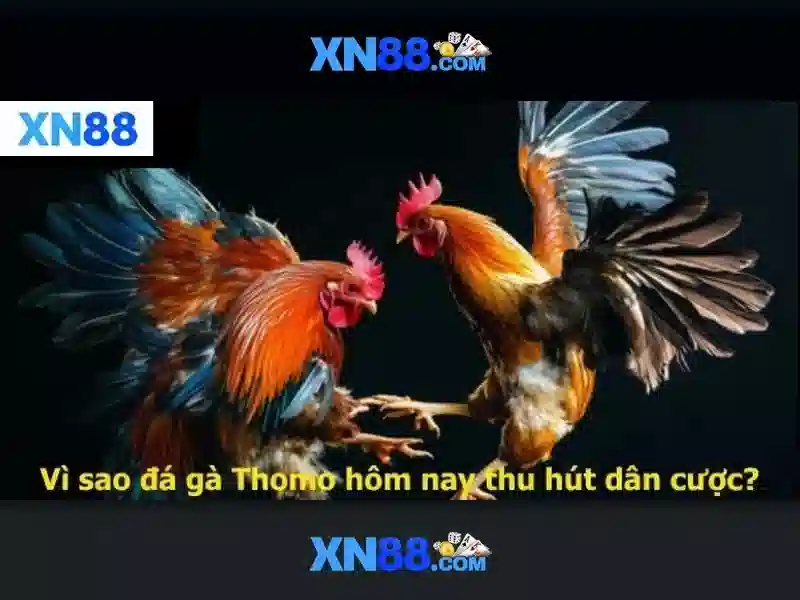💎kingbet86 nhà cái kingbet86💎