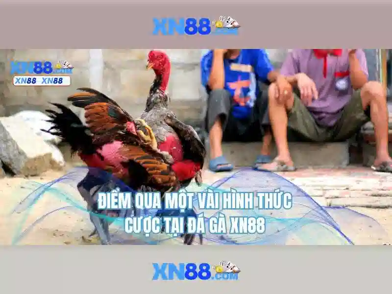 💎nha cái uy tún💎