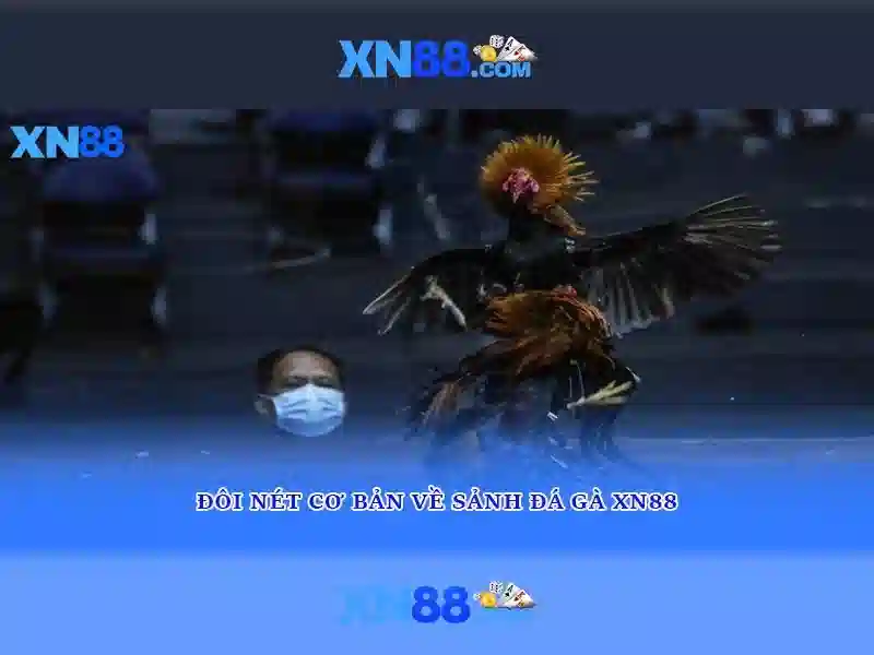 💎game hb88 hb88💎 - hb88 tang 100k - nhận thưởng hb88