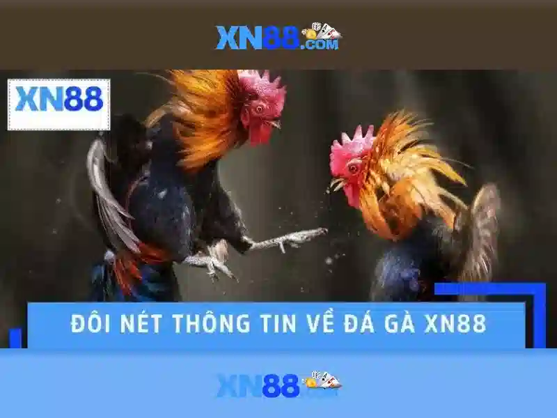 💎trưc tiếp bóng đá keo nha cai💎