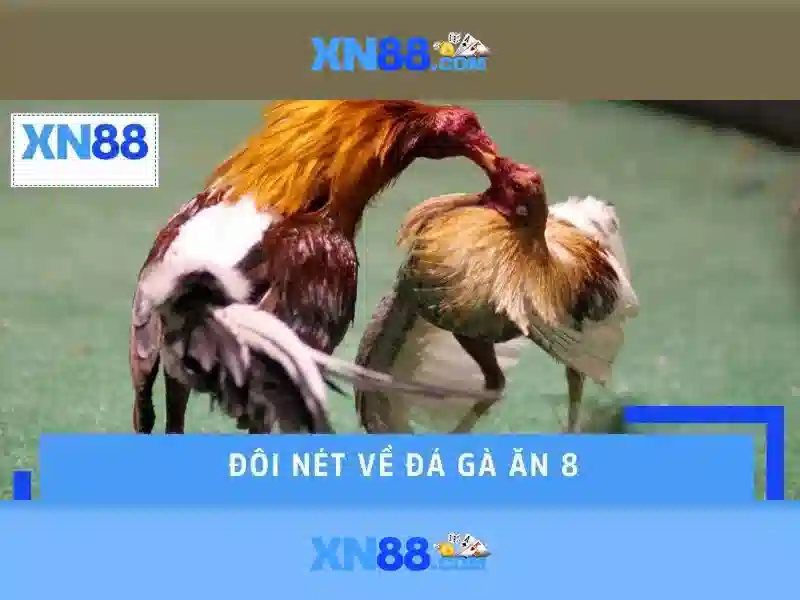 💎nhà cái khuyến mãi caovietnet💎