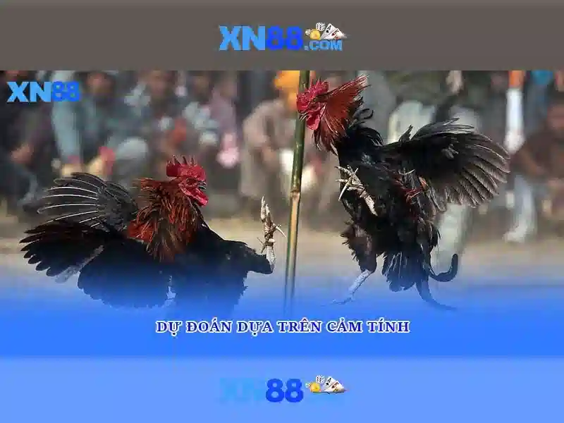 💎fun88 cá cược hàng đầu châu á💎