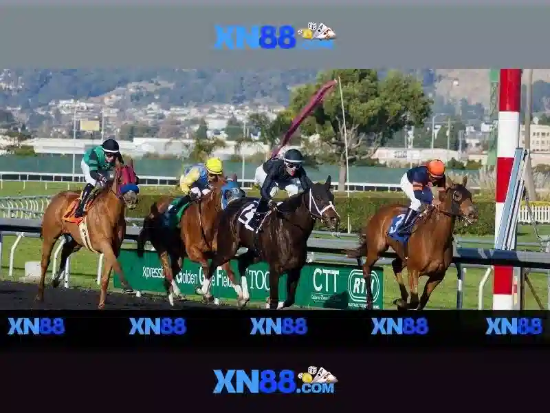 💎trang web cá cược bóng đá uy tín nhất💎