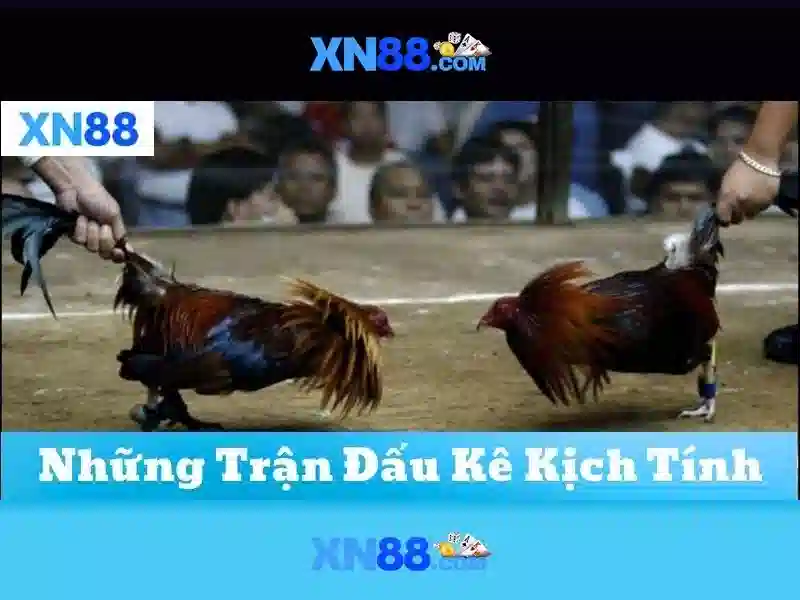 💎multi slot card reader💎