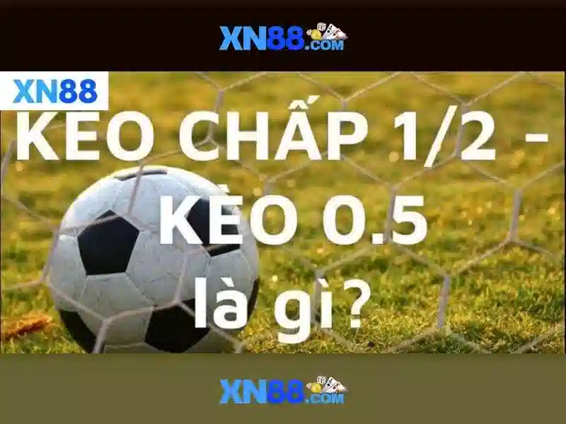 💎top 15 nha cai tang tien cuoc mien phi💎