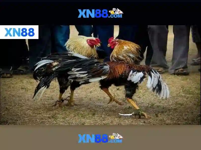 💎tiradas gratis slots sin depósito españa💎