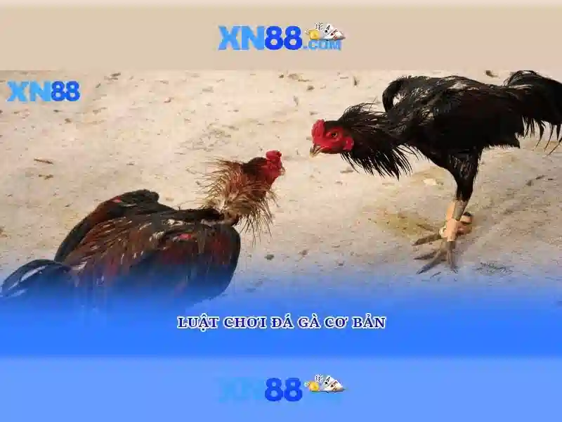 💎slot machines at casinos💎