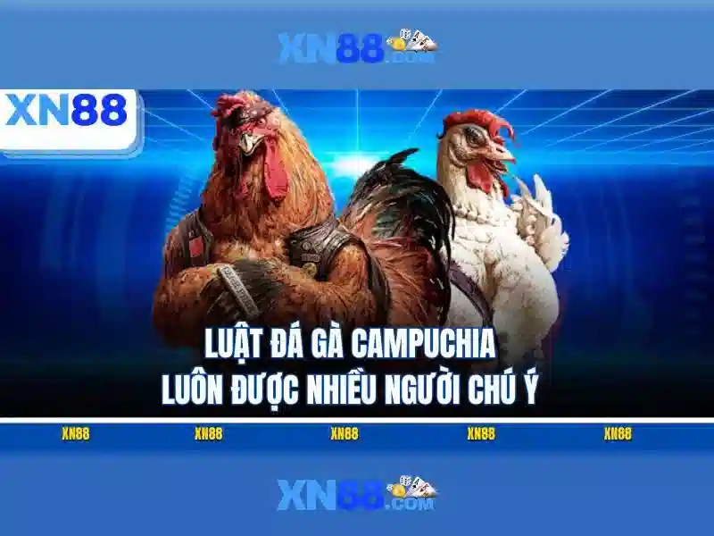 💎nhà cái uy tín tools💎