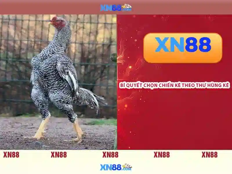 💎nhà cái uy tín nhất việt nam 168💎