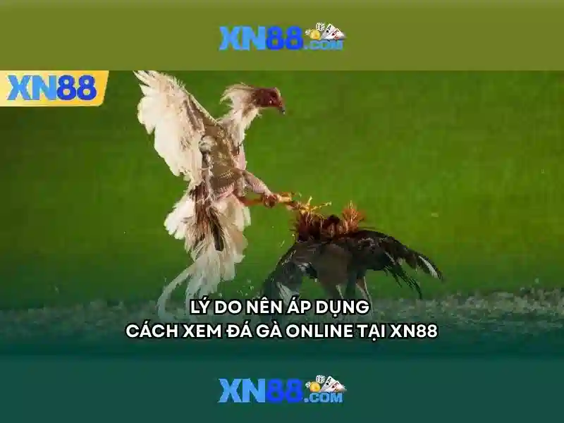 XN88 Win - XN88