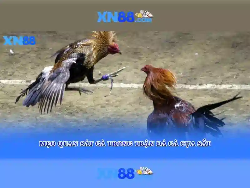 💎dean martin slots💎