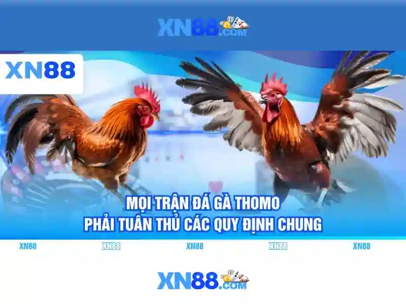 💎đánh bạc khoản mấy💎