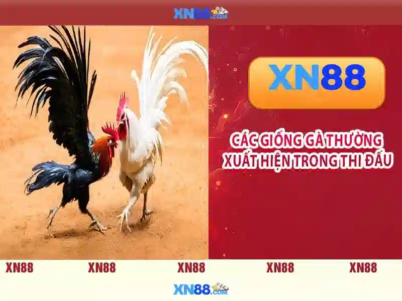 💎sòng bạc phim hàn quốc💎