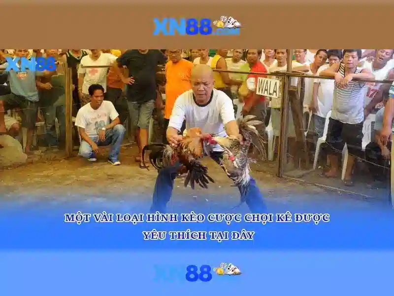 💎nhà cai uy tin mx💎