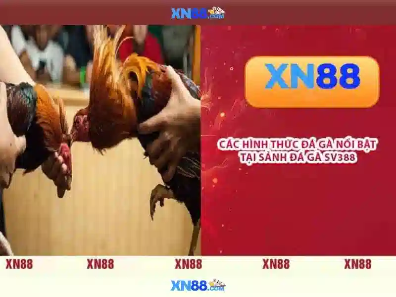 💎help slot win jili💎