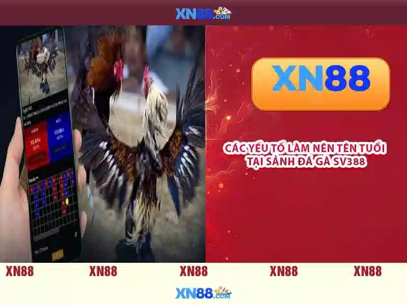 💎nhà hàng hương cau lào cai💎