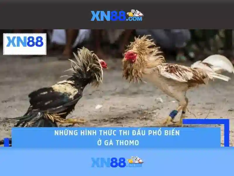 💎bong 888 keo nha cai💎