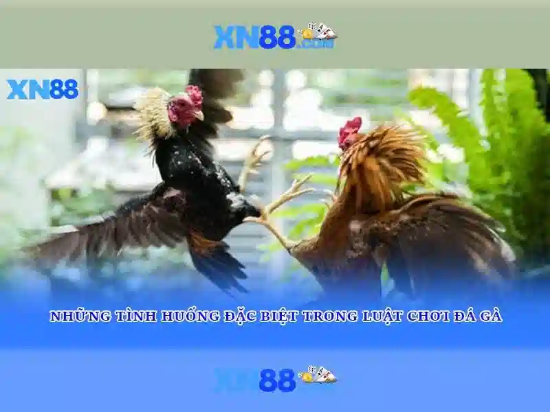 💎sin88 s net💎 - sin88 mba - sin88 asia