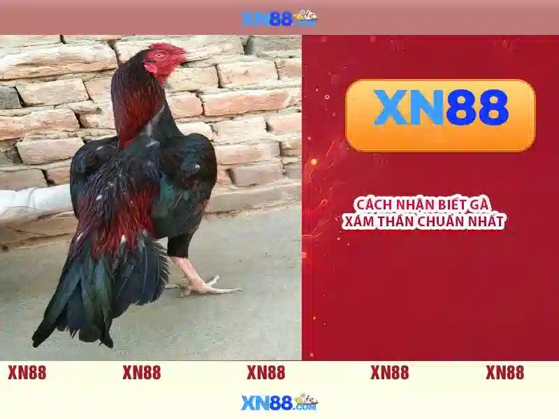 💎motherboard with many pcie slots💎