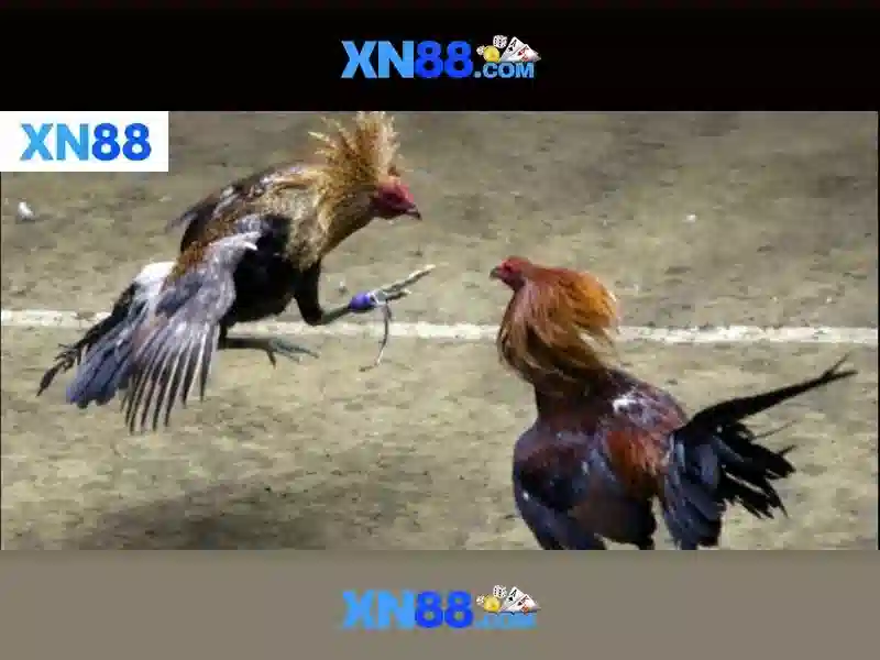 💎slot wallet 777com💎