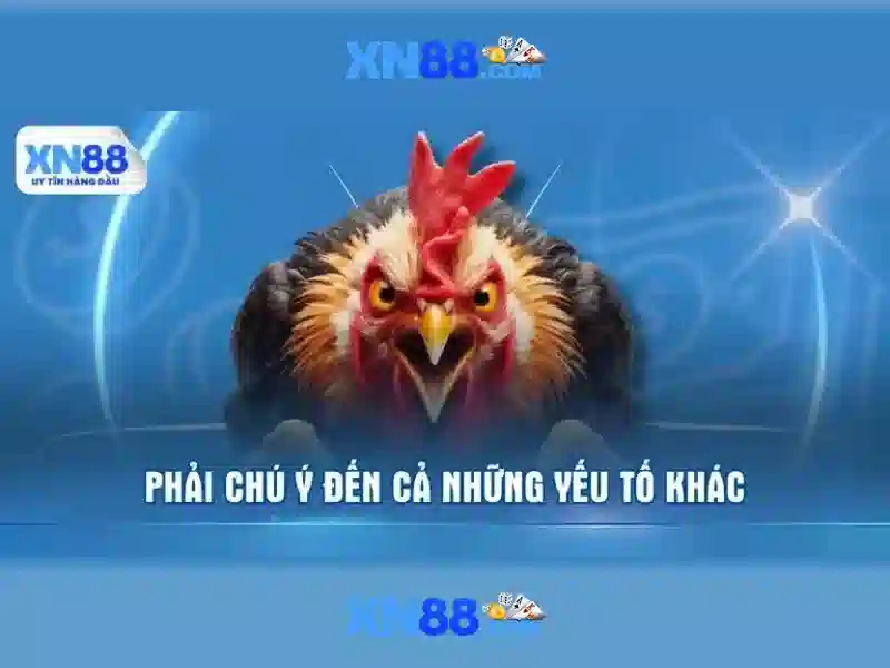 💎nha xe sao viet lao cai ha noi💎