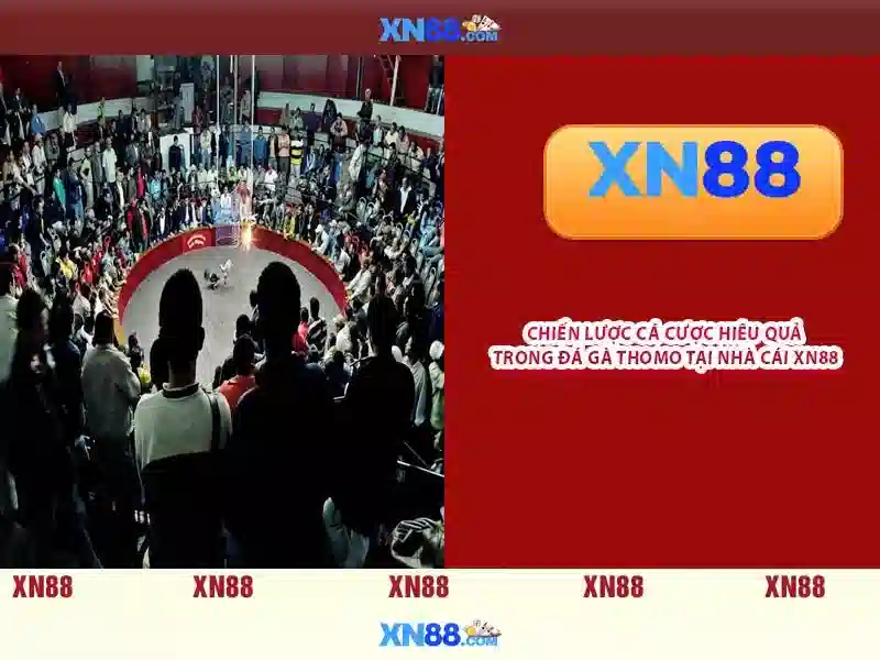 💎best playtech slots💎