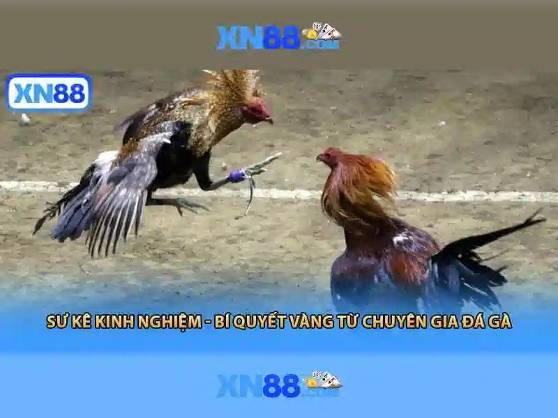 💎slot heaven review💎