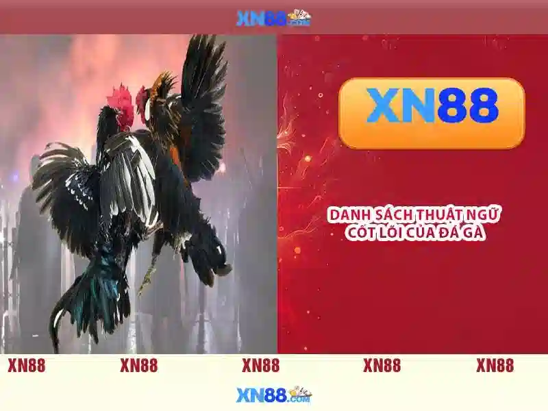 💎all slots casino review💎