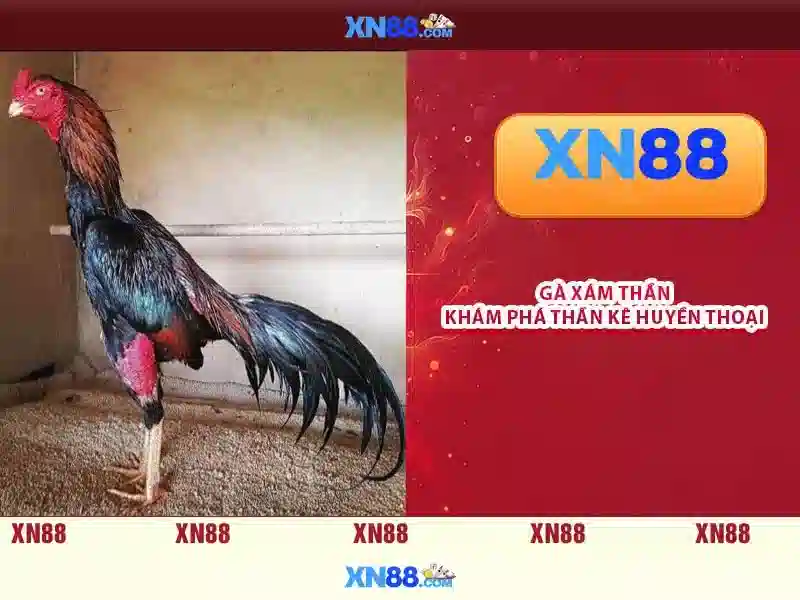 💎nhà cái uy tín urba💎