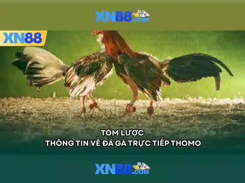 💎mạng lưới sông ngòi bắc trung bộ💎