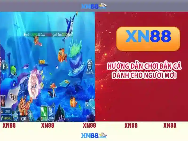 Giấy Phép Hoạt Động XN88 | Điều Kiện Cấp Phép Cho Nhà Cái Slot - XN88