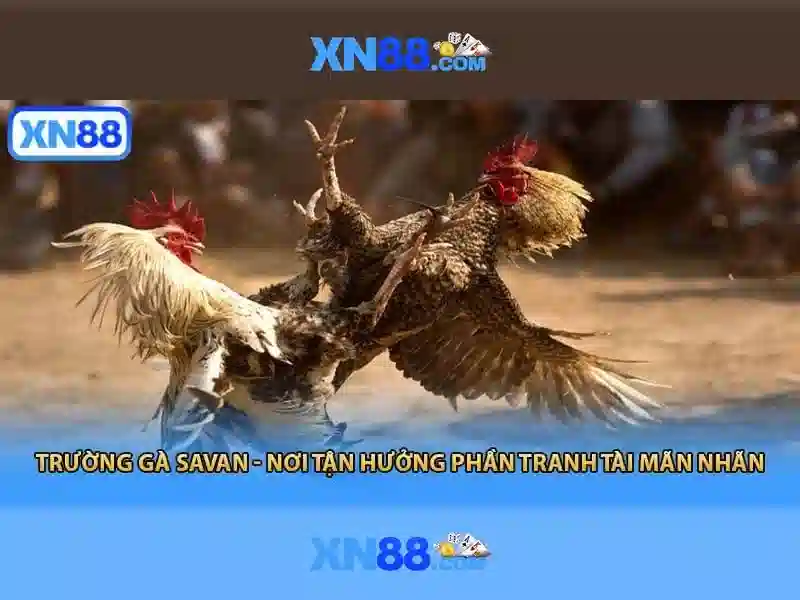 💎hb88 giới thiệu💎 - facebook facebook hb88 - hb88 link so 1