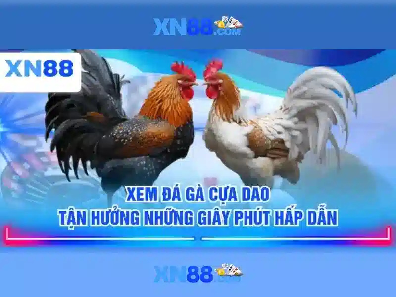 💎nhà cái đến từ châu á💎