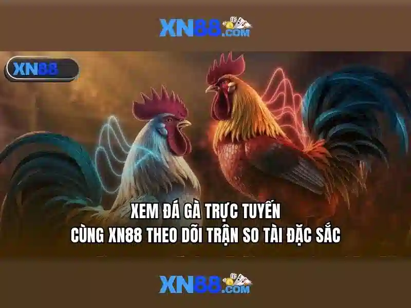 💎tội đánh bạc điều 248💎