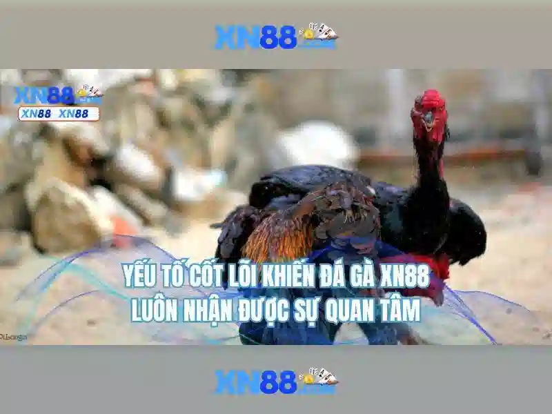 💎nhà cái kimsa có uy tín không💎