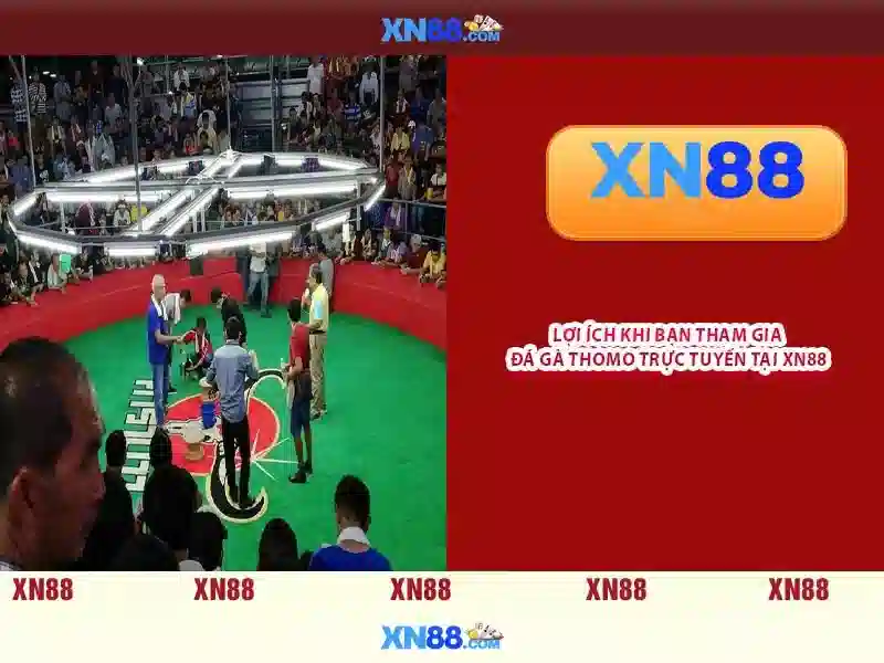 💎cá cược aoe💎