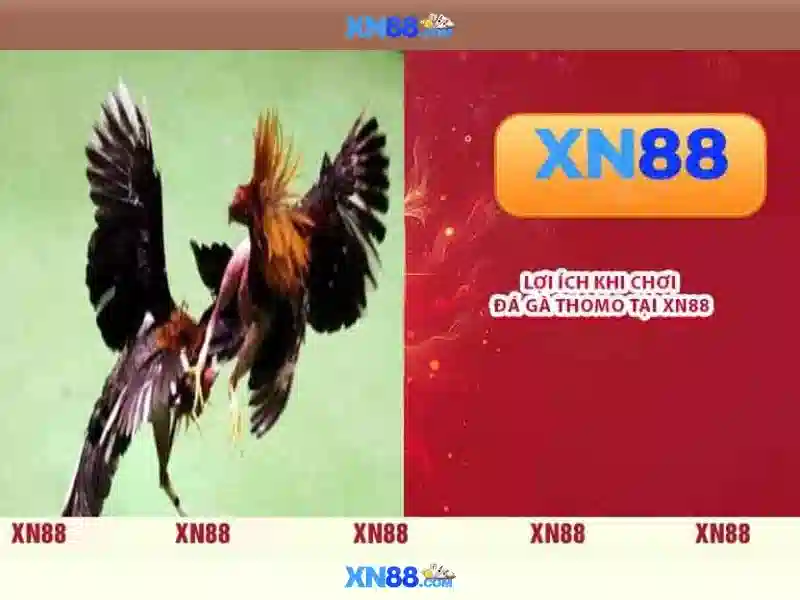 💎bạc hà song sinh vietsub💎