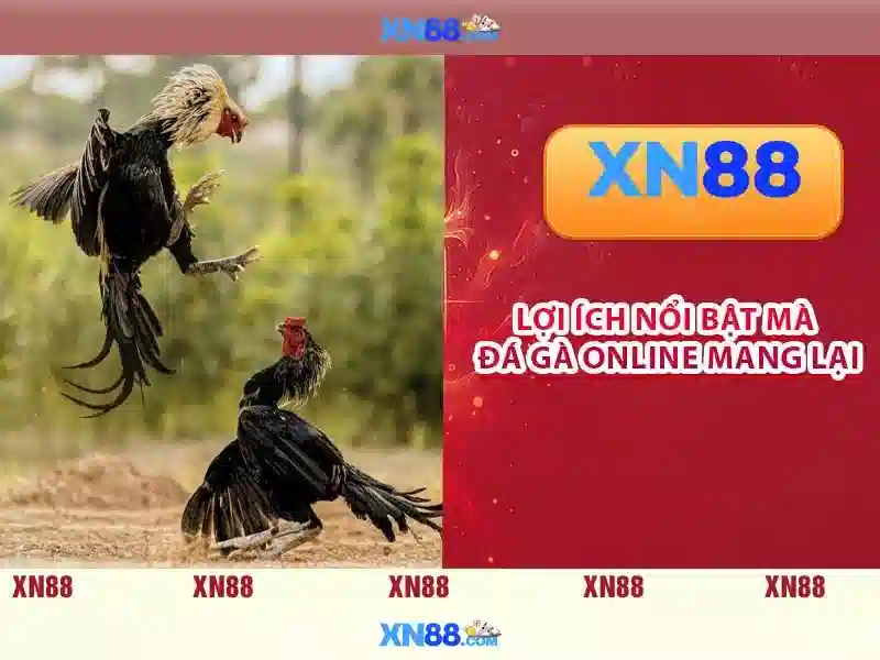 💎how many pci slots do i need💎