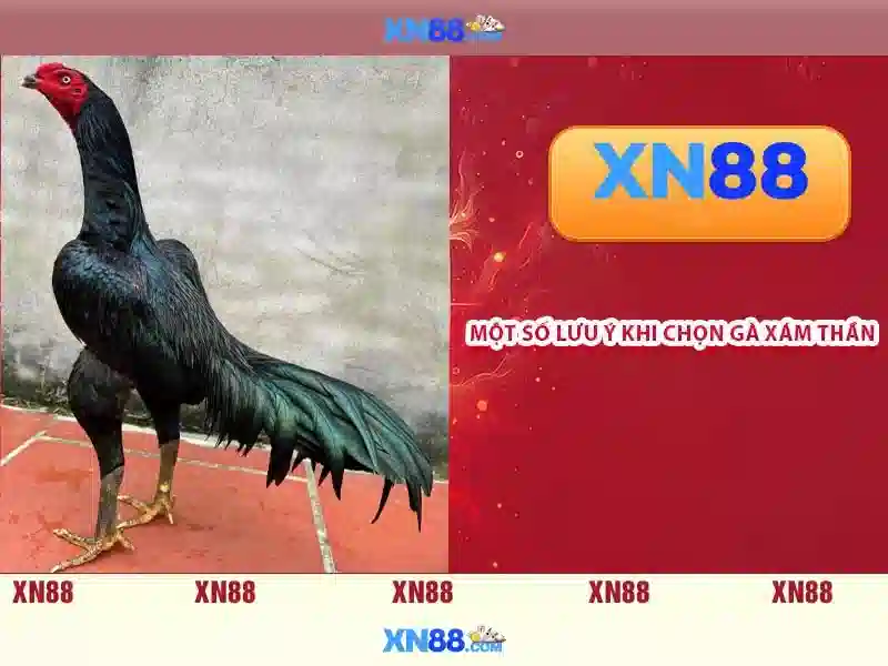 💎hb88 lodibet 291💎