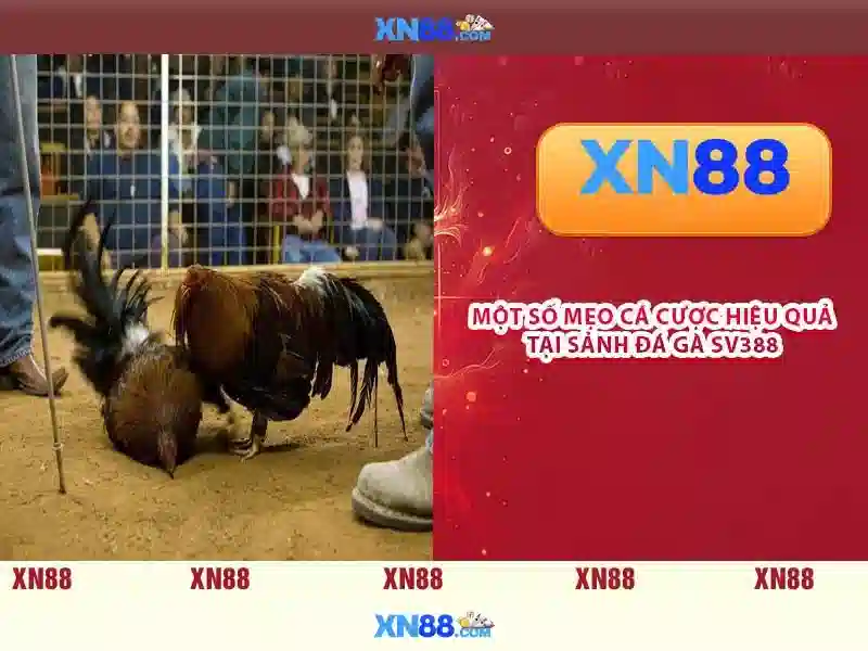 💎888slot game fun💎