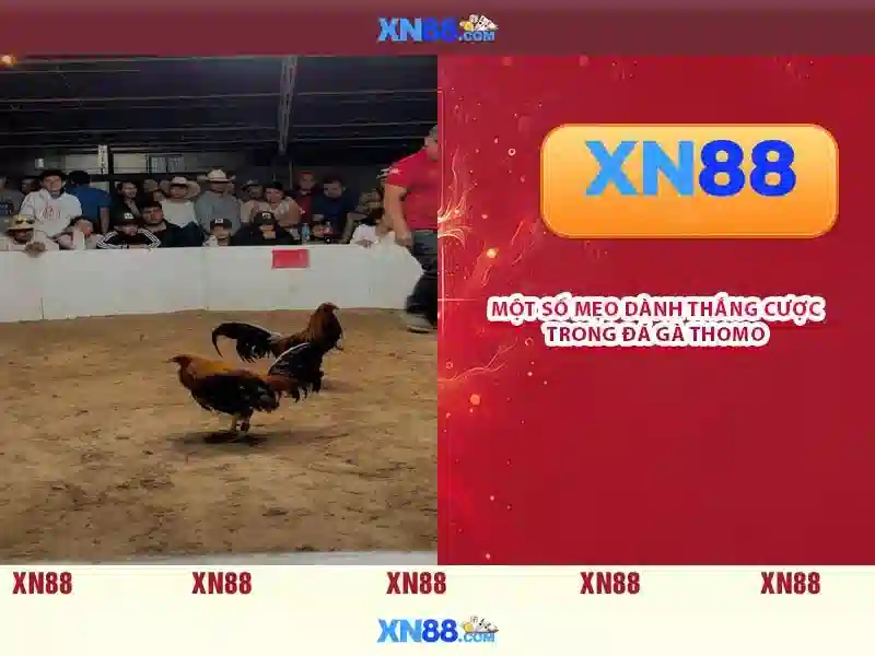 💎danh sách thi kho bạc💎