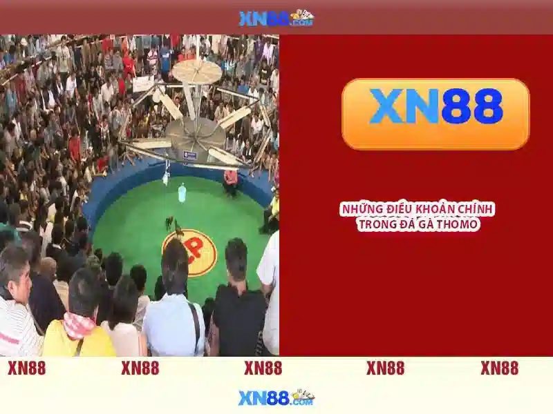 💎link fabet ac💎 - fabet có uy tín không - fabet 88 com