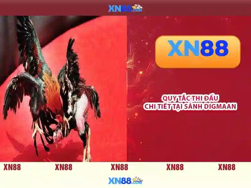 💎nha cai hang dau chau au💎