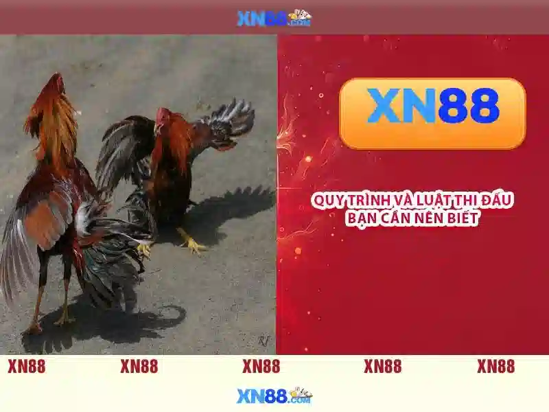 💎kèo nhà cái trận pháp tây ban nha💎