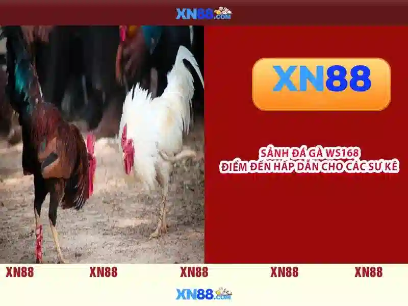 💎vụ đánh bạc nghìn tỷ💎