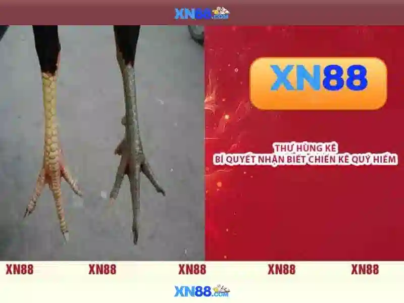 💎play isoftbet slots💎