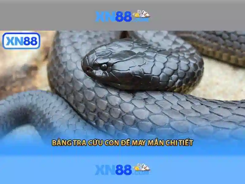 💎bóng đá tỷ lệ nhà cái hôm nay💎