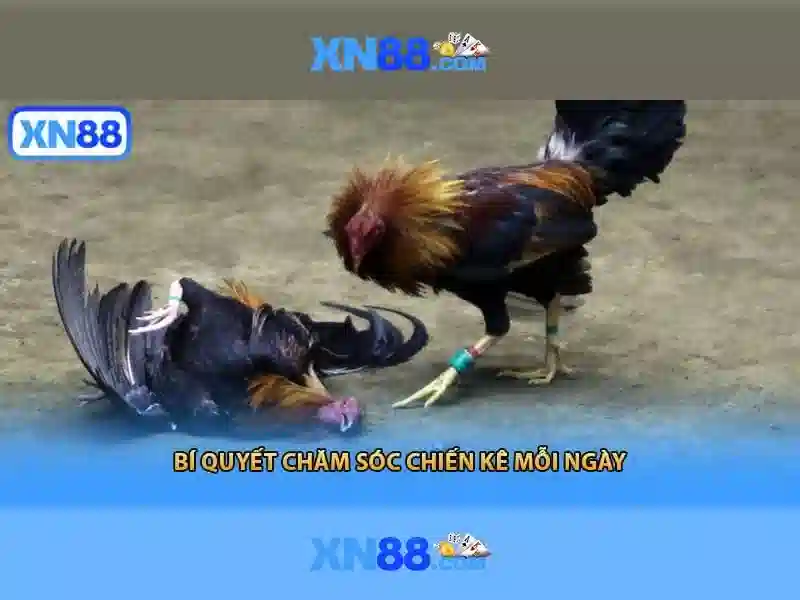 💎apk cheat slot online💎