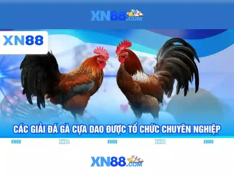 💎bong88.com keo nha cai 5💎